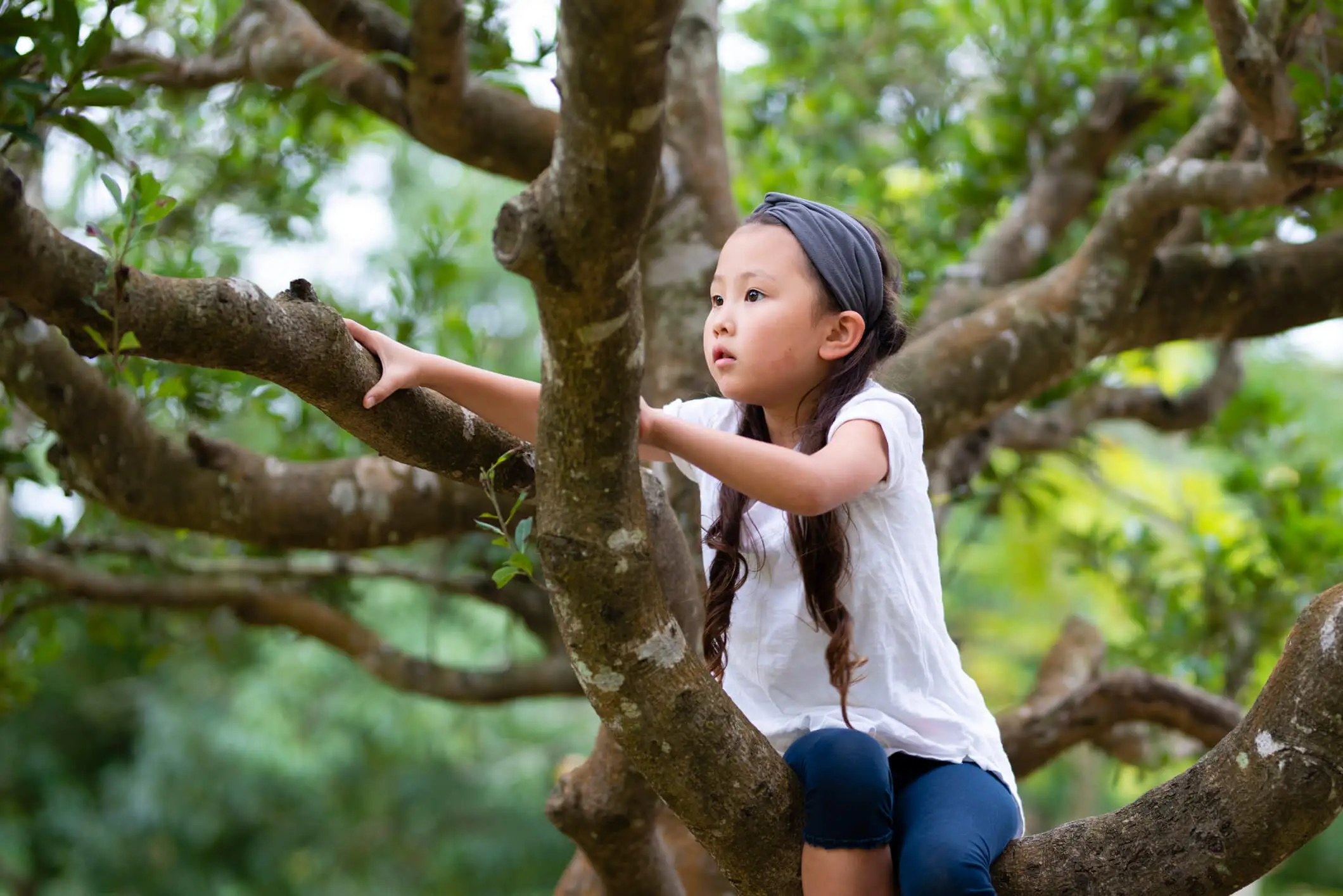 Plano de aula elementos da natureza